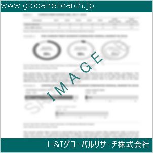 グローバルリサーチ調査資料のイメージ